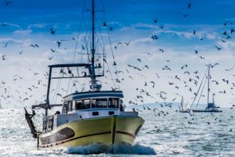 Création d’une aide pour la trésorerie des entreprises de pêche