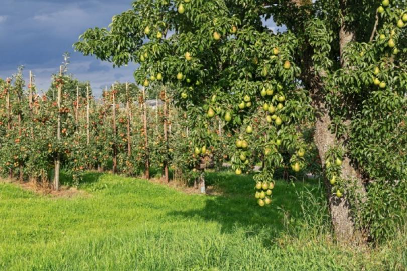 Aides aux agriculteurs - soldes pour la campagne 2023